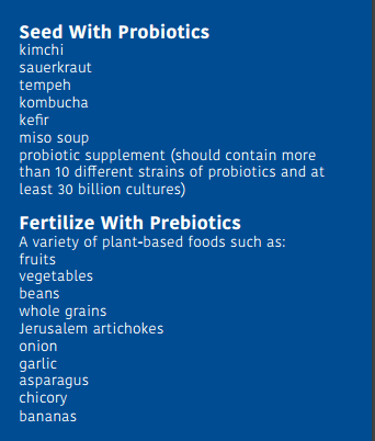 probiotics/ prebiotics foods
