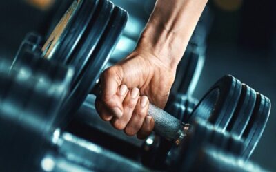 Winter Shred- Beginner Total Body Workout