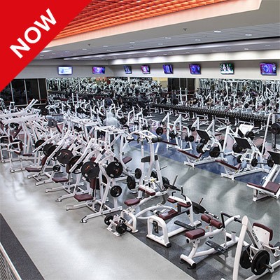 Cardio and Free Weights