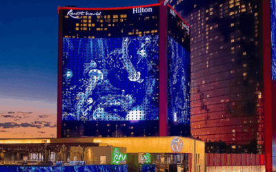 Summer Fun Ideas for Vegas Locals
