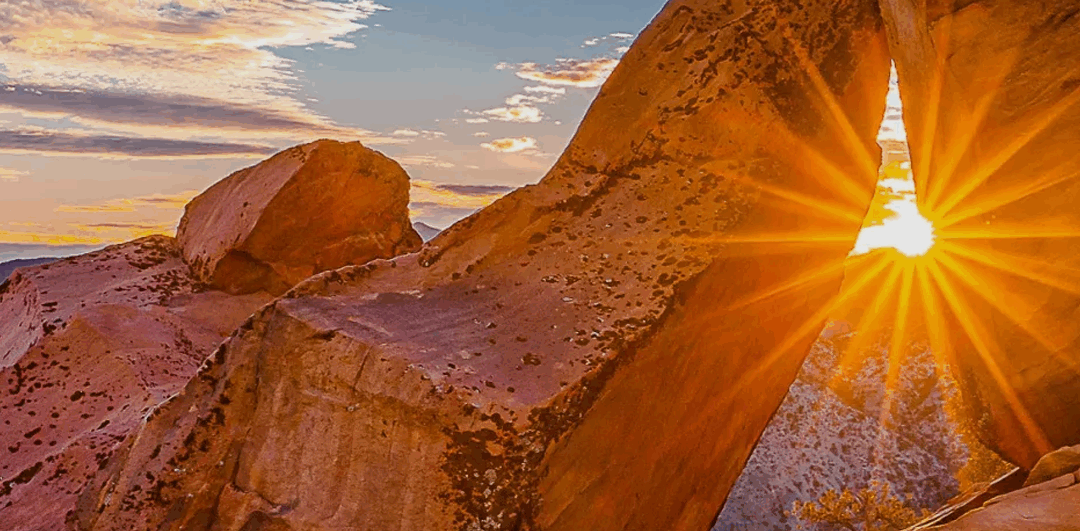 Tortoise Trot Trail Run: Enjoy Spectacular Views for a Great Cause!