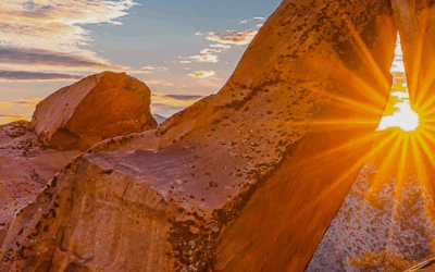 Tortoise Trot Trail Run: Enjoy Spectacular Views for a Great Cause!
