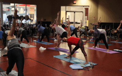 Find Your Calm: Relaxation Through Movement at LVAC