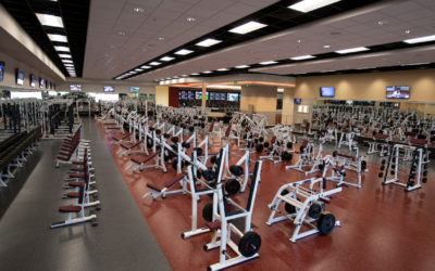 3 Gym Machines Every Beginner Should Use to Build Confidence